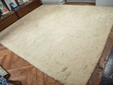 une image d'un salon avec un tapis sur le sol