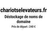 Photo 1/1 du lot