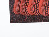 an image of a picture of a red and black painting