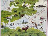 carte de la forêt de Dessinis, en France