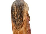 sculpture of a man ' s head on a marble table top
