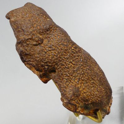 Météorite égyptienne Gebel Kamil orientée en bouclier - Rare