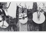 a black and white photo of a clock hanging on a tree
