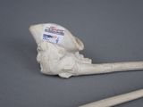 a toothbrush and a toothbrush holder on a table
