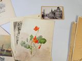 de nombreuses photos de fleurs accrochées au mur de cette pièce