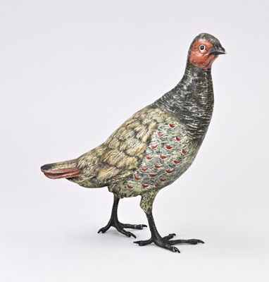 un oiseau posé sur une surface blanche