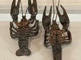 two statues of lobsters on display on a table