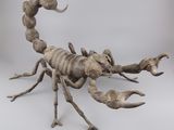 sculpture représentant un scorpion sur fond blanc