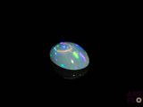 a close up of an oplite in the dark with a black background