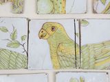 many different pictures of birds on the wall