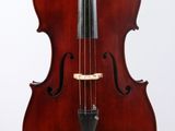 un gros plan d'un violoncelle sur fond blanc