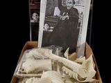 a box with a skeleton and a book inside of it