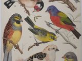 many birds that are sitting on the branches of a tree