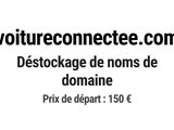 Photo 1/1 du lot