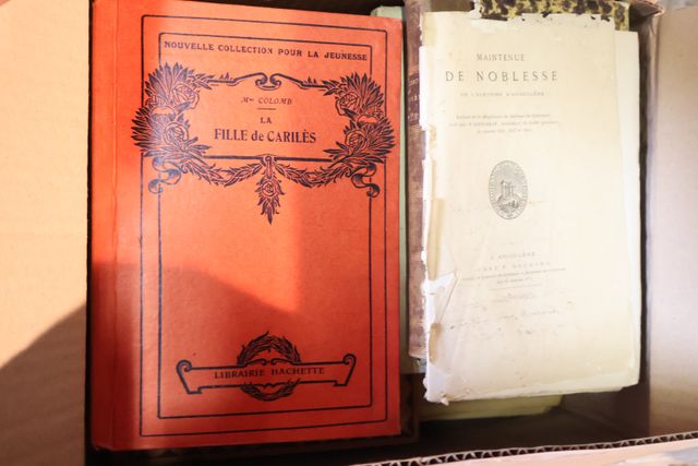 Lot de 6 cartons dont livres d’enfant régionalisme creuse, Paul d...
