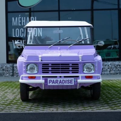 Véhicule de marque MCC AUTOMOTIVE Eden, Violet paradise, immatriculé G - Photo 1