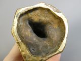 someone is holding a piece of metal in their hand that is shaped like a shell