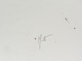 a drawing of a person on a white surface
