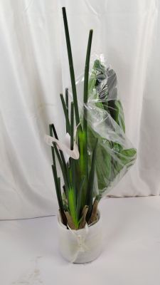 un vase blanc avec quelques fleurs à l'intérieur, posé sur une table