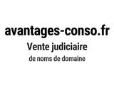 Photo 1/1 du lot