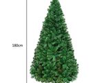 La hauteur d'un sapin de Noël est indiquée à l'aide de mesures