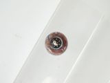 a small brown object in the middle of a clear box