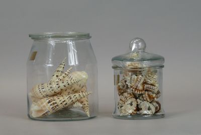 two glass jars with shells inside of them on a table