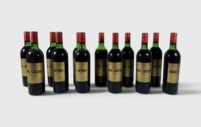 six bouteilles de vin sont alignées sur une surface blanche