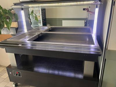 un grand comptoir métallique équipé d'un évier et sur lequel se trouve une plante en pot