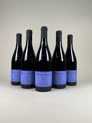 six bouteilles de vin sont alignées sur une surface blanche