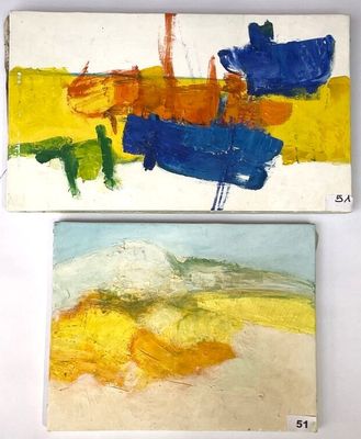 Deux tableaux de couleurs différentes sont exposés sur une surface blanche.