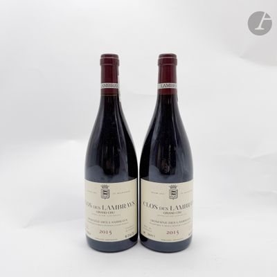 deux bouteilles de vin rouge posées l'une à côté de l'autre sur une surface blanche