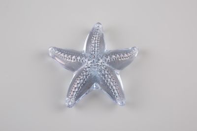 décoration en forme d'étoile de mer argentée sur fond blanc