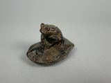 une image représentant une petite grenouille en bronze perchée sur un rocher