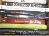 Photo 3/4 du lot