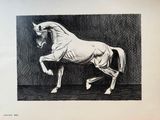 un dessin représentant un cheval debout sur ses pattes arrière