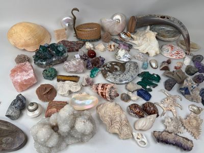 beaucoup de coquillages et d'autres objets qui se trouvent sur la table