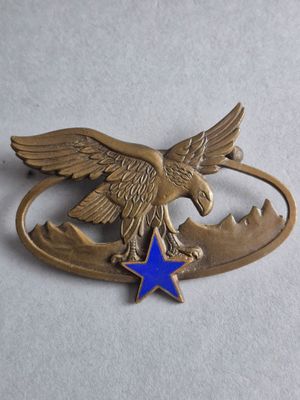 un aigle orné d'une étoile bleue trône au sommet d'une plaque métallique