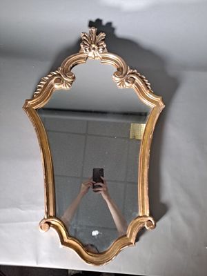 a person taking a picture of themselves in a mirror