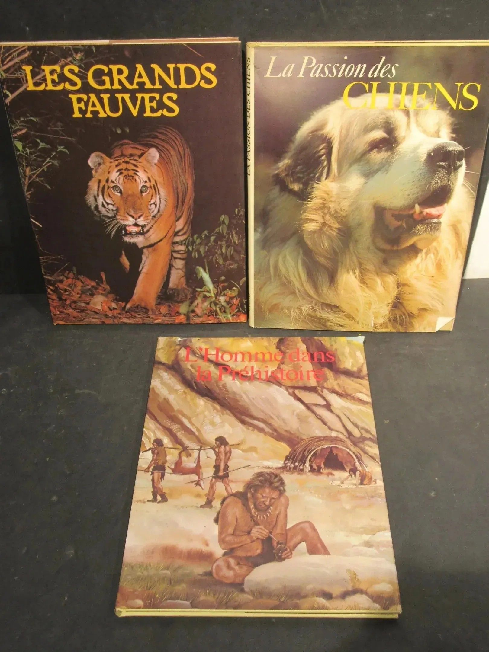 512.49 - LOT DE LIVRES PREHISTOIRE + ANIMAUX .1 - 2 EURO