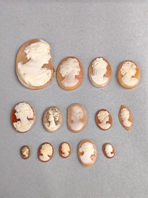 Lot de 13 camées sur coquillage non montés.