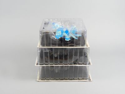 trois boîtes transparentes contenant des chocolats, posées sur une surface blanche
