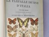 a book that has a bunch of butterflies on it