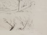pencil drawing of a tree in a field with buildings in the background