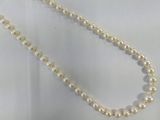 a white pearl necklace with a gold clasp on a white background