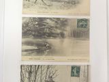several photographs of a deer in a forest with trees in the background