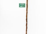a close up of a stick with a green tag on it