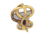 an image of a close up of a brooch with a snake on it
