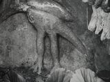 black and white photograph of a statue of a bird in a garden