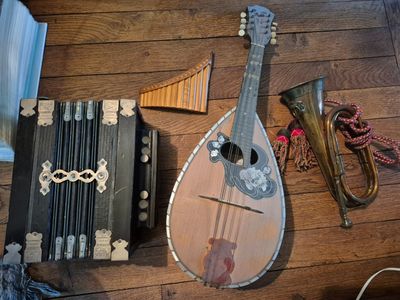 a mandolin, a musical instrument, and other musical instruments on the floor